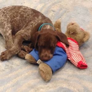 Meet your Posher, Matthew